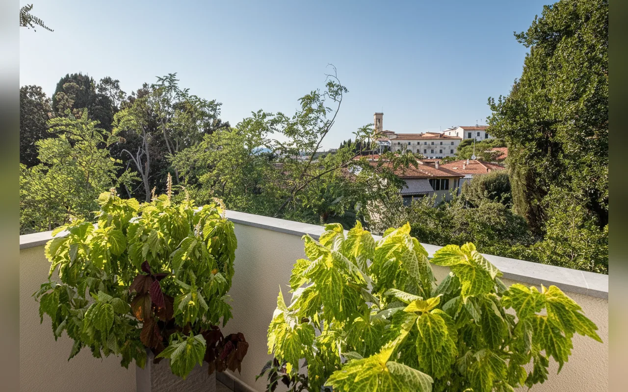 Esterni di La Villa 31, Rosignano Marittimo (Toscana) (foto 5)